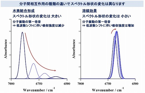 図１　スペクトル形状と分子間相互作用