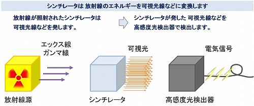 図２　シンチレータ材料