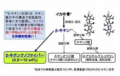 図1 イカ中骨から製造可能なキチン系機能性素材 図1 イカ中骨から製造可能なキチン系機能性素材