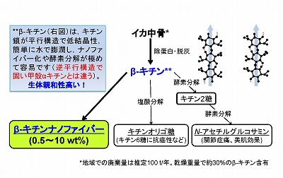 図1　イカ中骨から製造可能なキチン系機能性素材