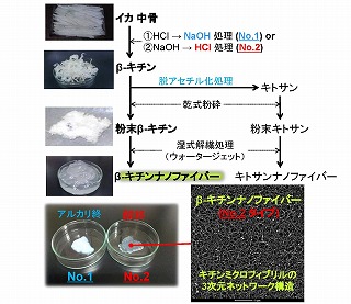 図2 部分脱アセチル化β-キチン・キトサンナノファイバーの調製 図2 部分脱アセチル化β-キチン・キトサンナノファイバーの調製