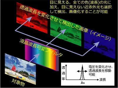 図１　ＬＣＴＦによる分光イメージング