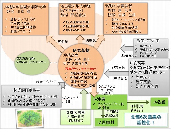 図２　沖縄北部島野菜の利用
