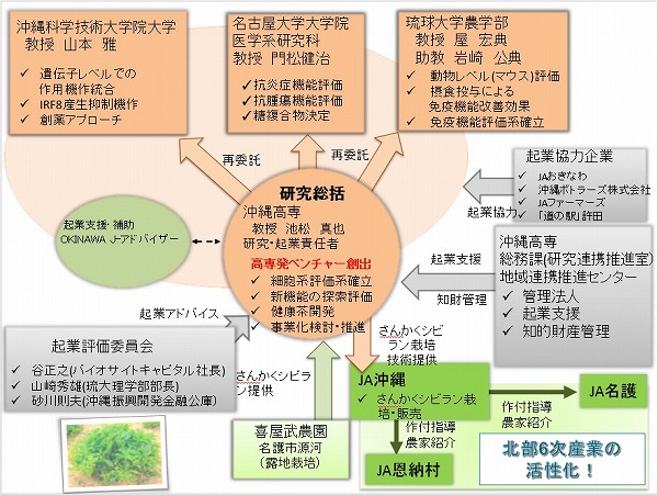 図2 沖縄北部島野菜の利用 図2 沖縄北部島野菜の利用