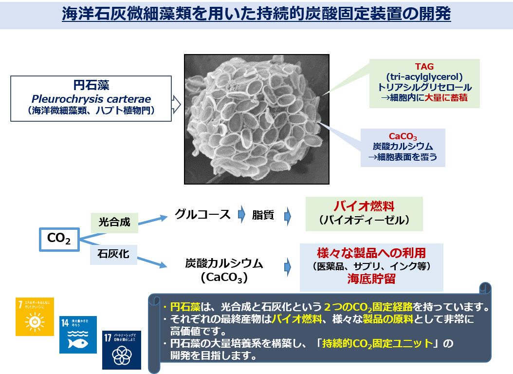 図1