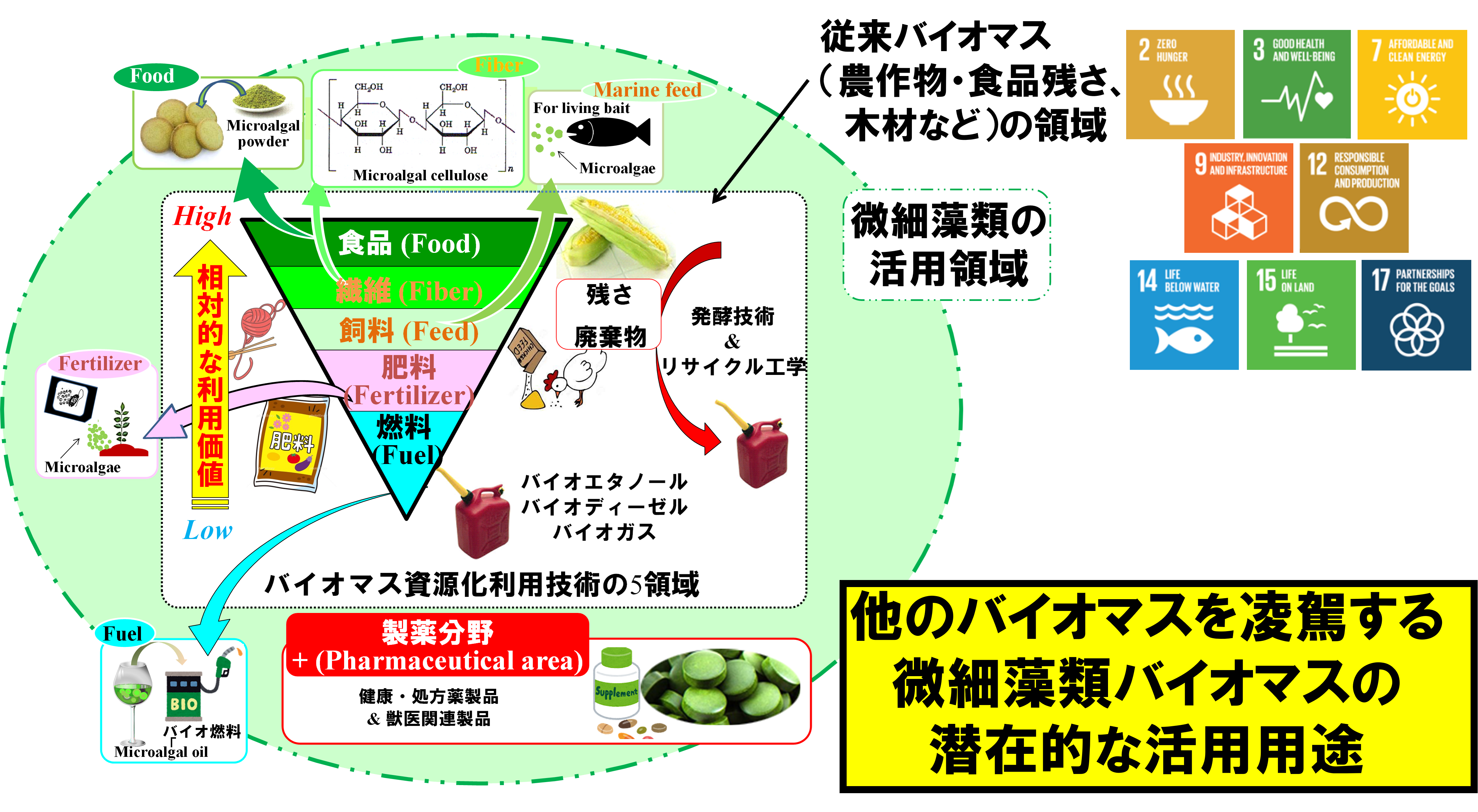 都城・高橋先生の図