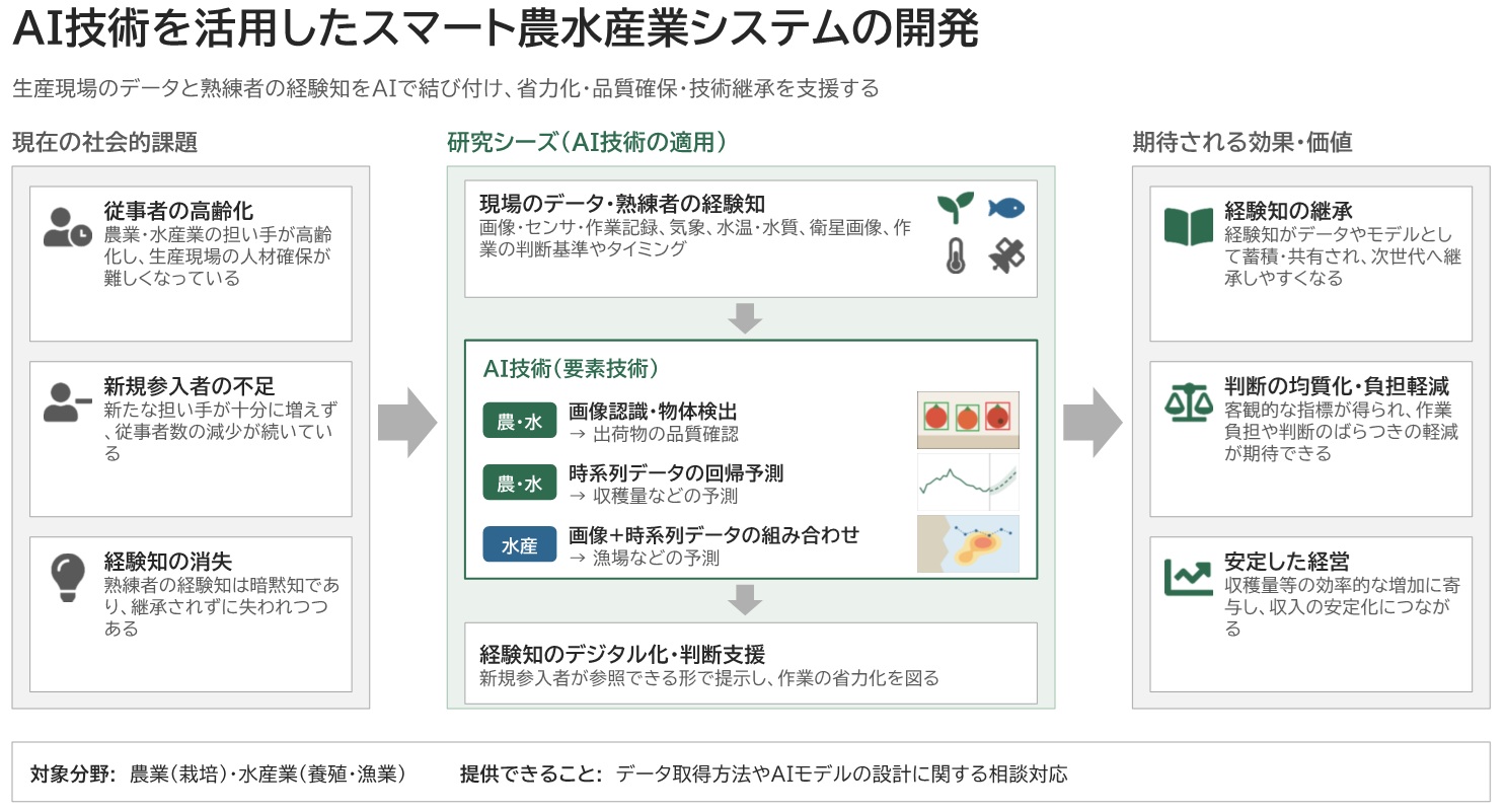 岡本先生研究
