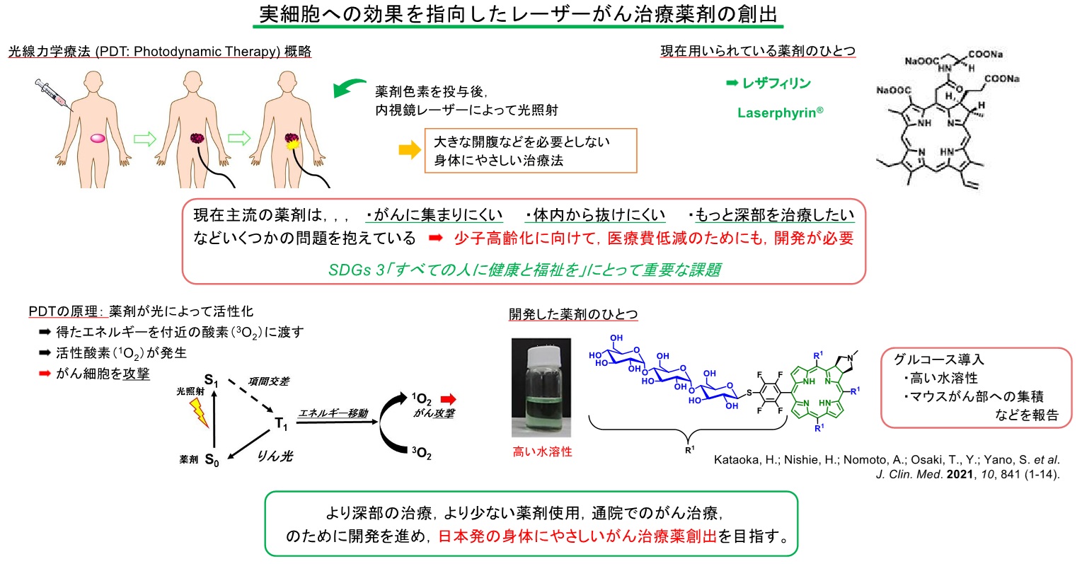 野元先生研究